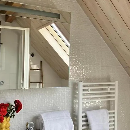 Dom wakacyjny Spacieux A Montbeugny, 14 Pers., Animaux Acceptes - Fr-1-489-593 *